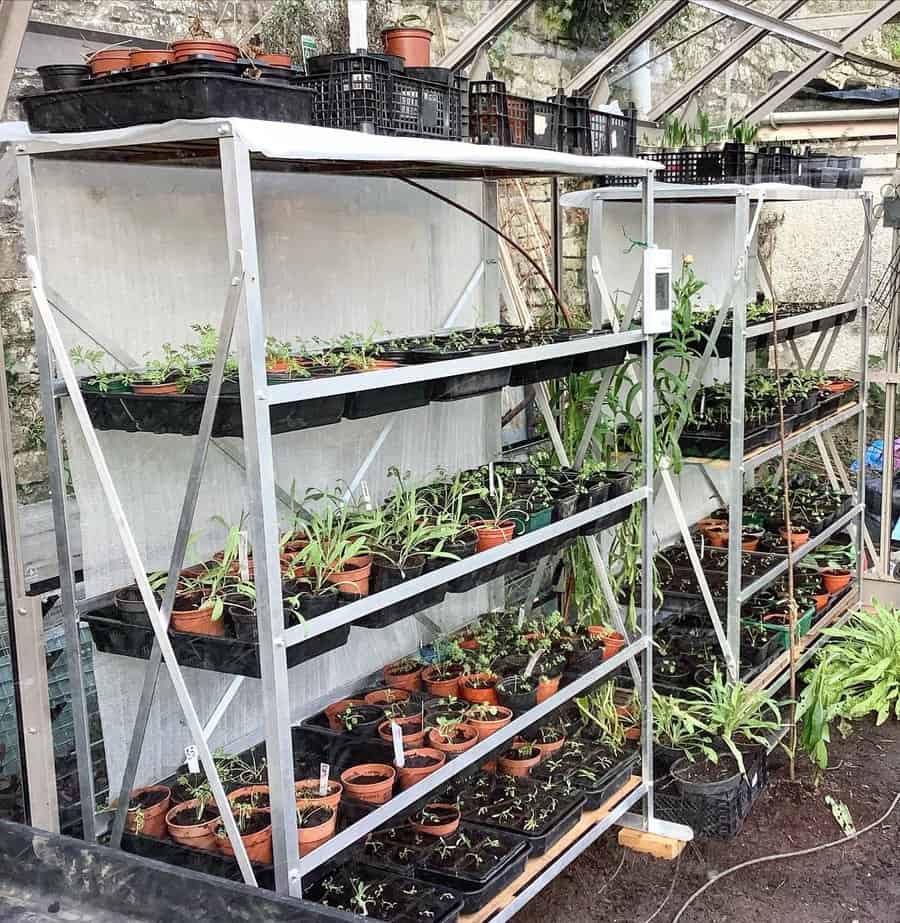 Shelving-Greenhouse-Ideas-ladidardyflowers