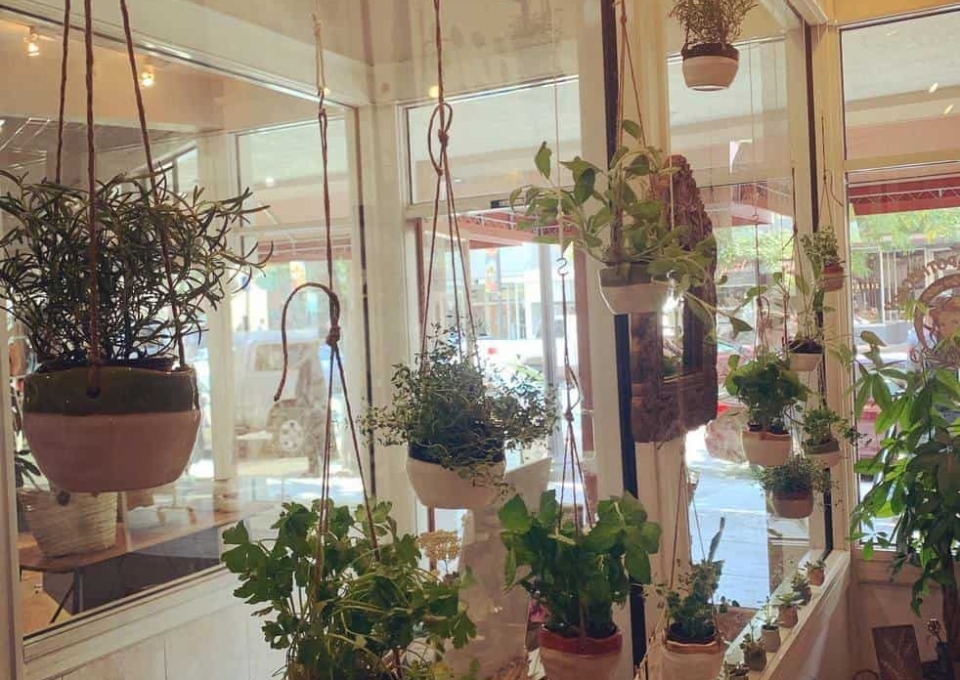 hanging-indoor-herb-garden-ideas-floraluna_apothecary-5330567