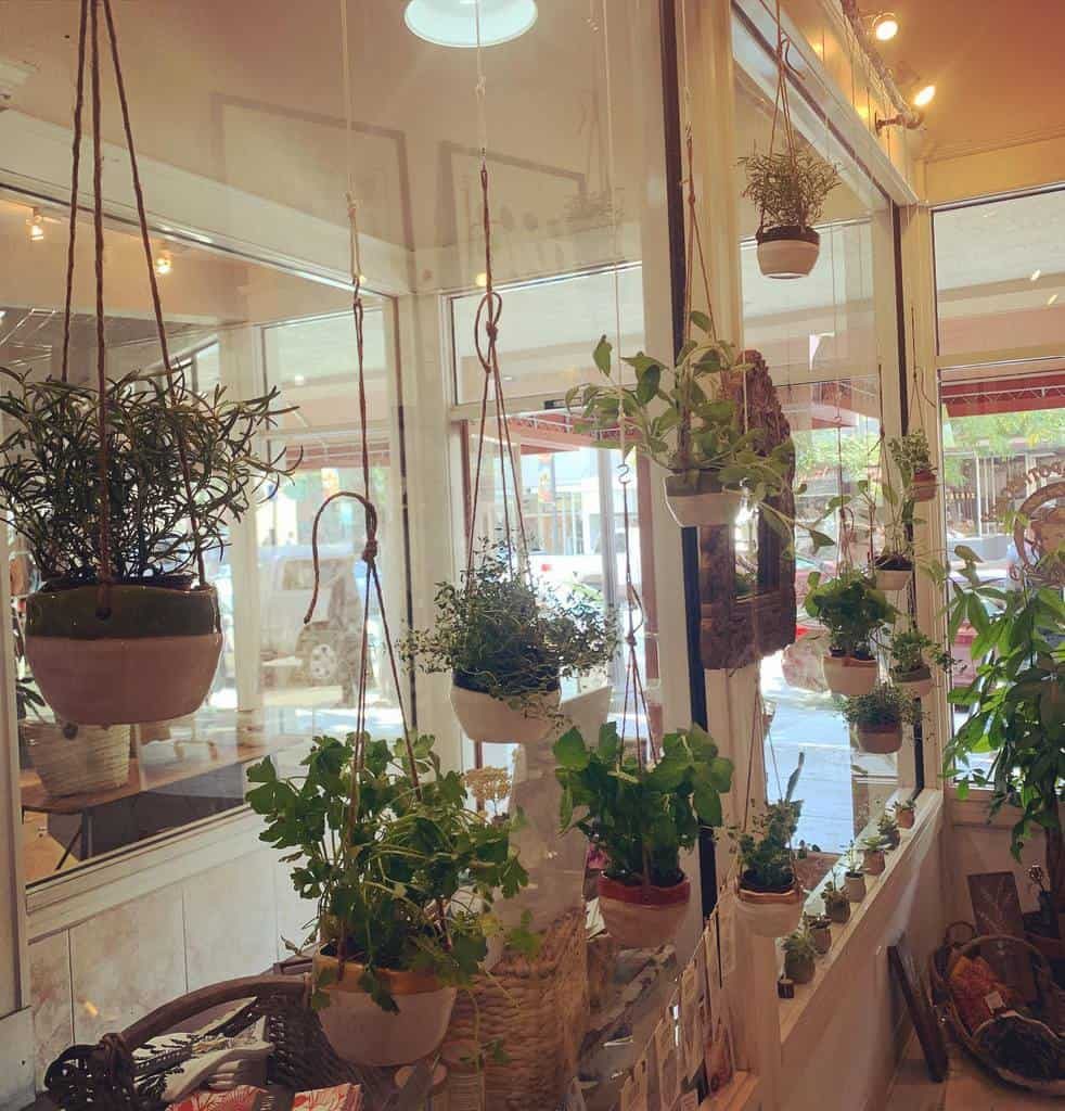 hanging-indoor-herb-garden-ideas-floraluna_apothecary-5330567