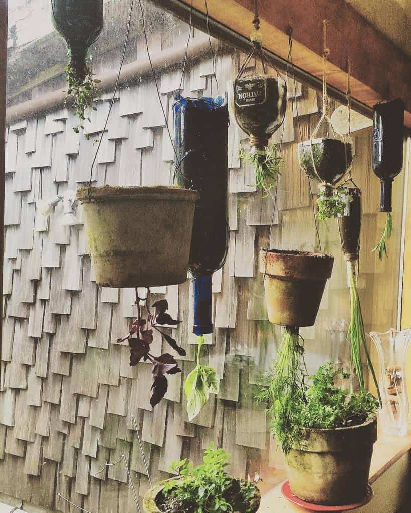 hanging-indoor-herb-garden-ideas-sophiathayer-4180613