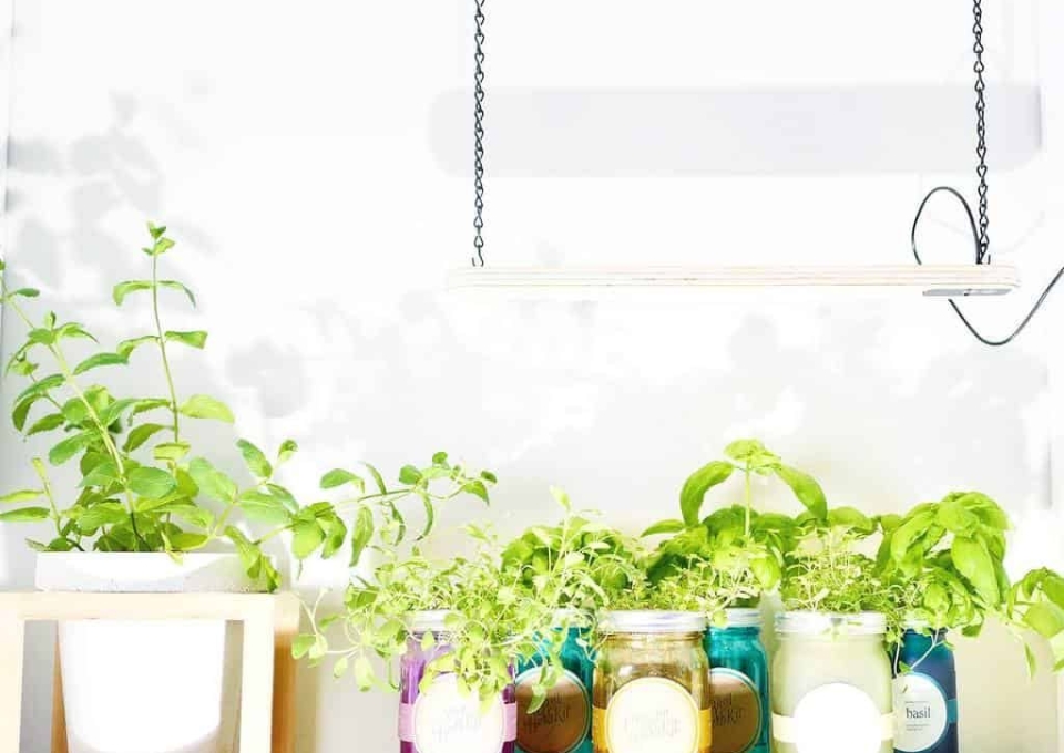 hydroponics-and-aquaponics-indoor-herb-garden-ideas-b-a-gorgie-7838133