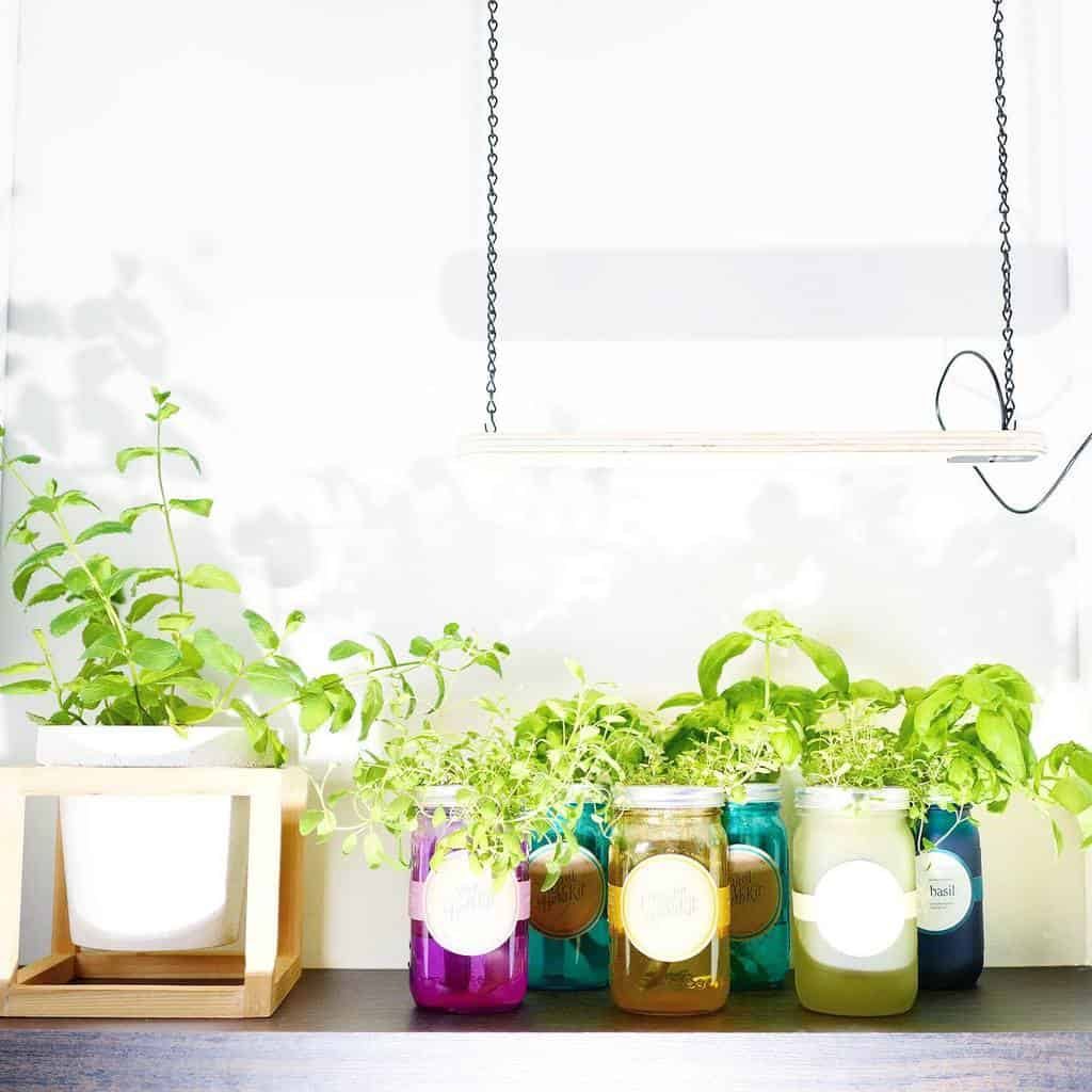 hydroponics-and-aquaponics-indoor-herb-garden-ideas-b-a-gorgie-7838133