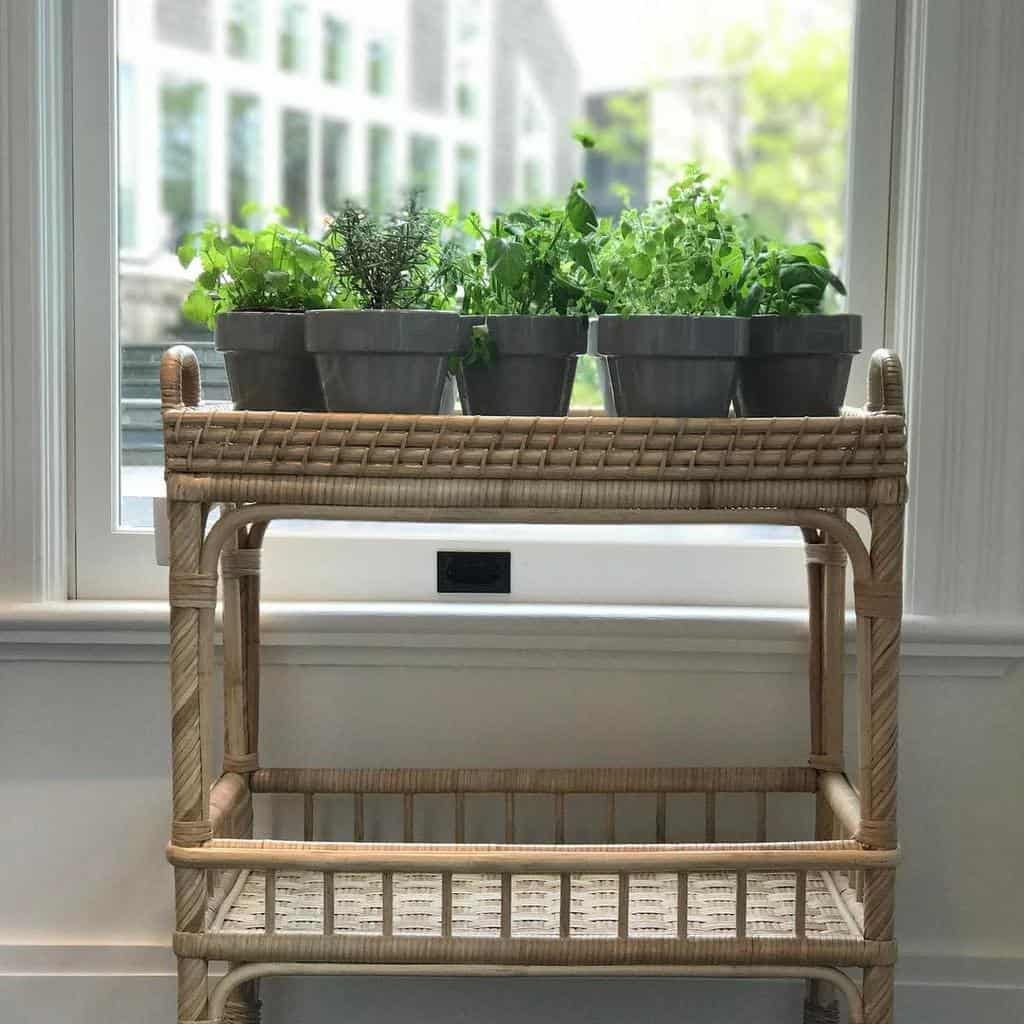 potted-indoor-herb-garden-ideas-most_lovely_things-6595627