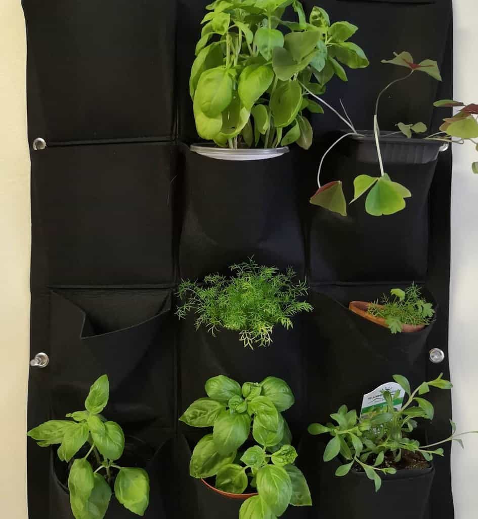 vertical-indoor-herb-garden-ideas-lovingthechase_-6299044