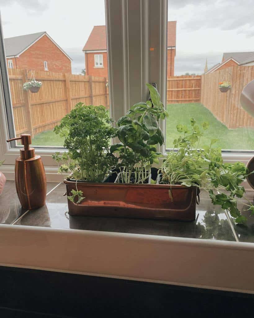 window-indoor-herb-garden-ideas-home_on_hamiltonroad-3504344