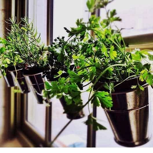 window-indoor-herb-garden-ideas-kikajunqueira-com_-br_-9856480