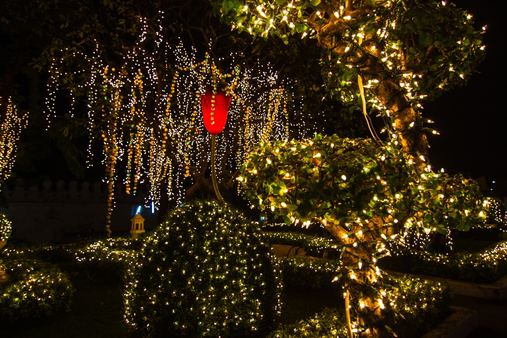 christmas-decorations-on-trees-outside