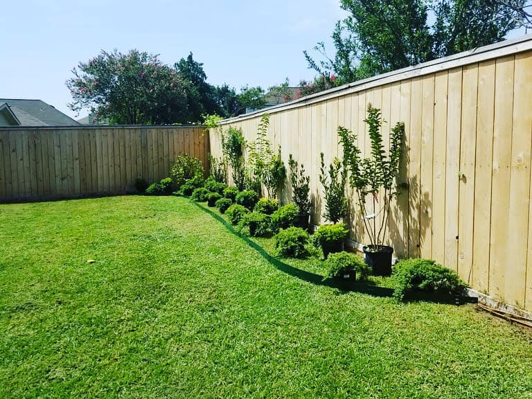 Fence Backyard Landscaping Ideas On A Budget Juhbaree