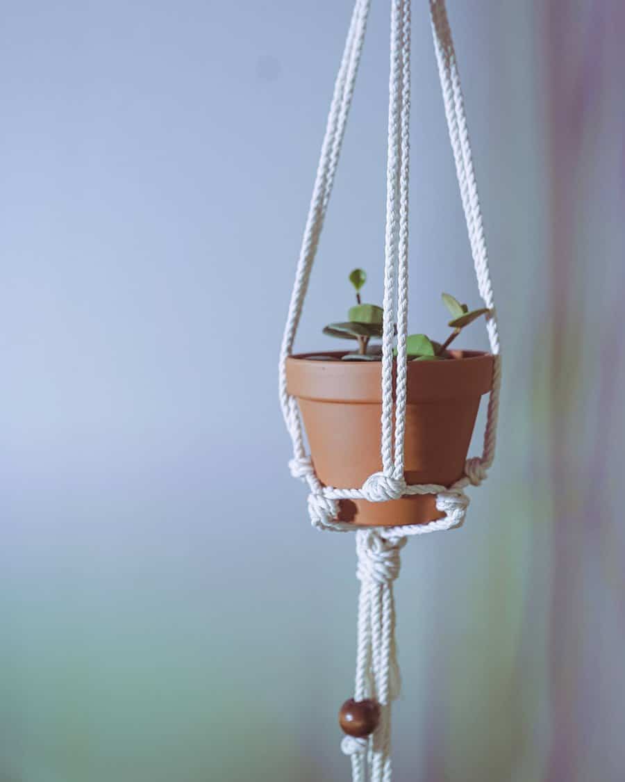 Hanging Planter Diy Garden Ideas Thisisjoz