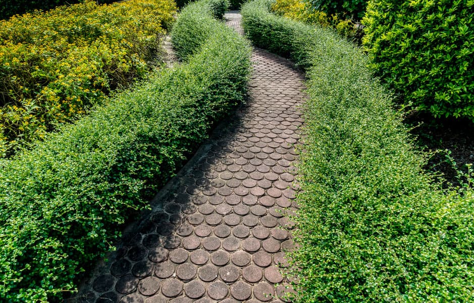 Paved Garden Path Ideas