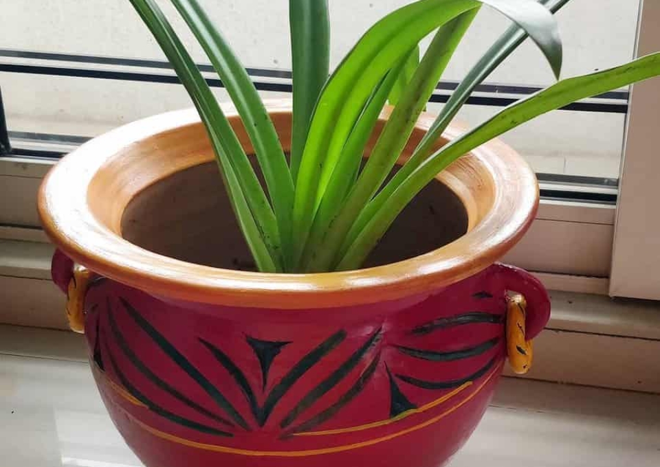 Pot Diy Garden Ideas I Ckreate