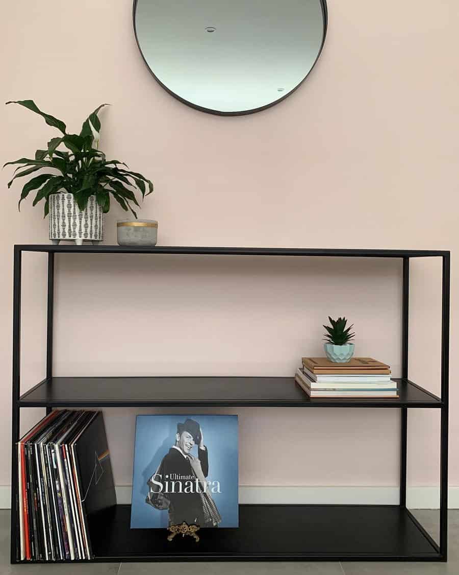 Record Storage Ideas Modden Living