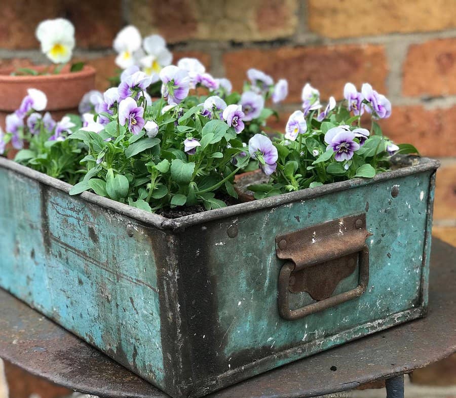 Recycled Diy Garden Ideas Fionacumberpatch