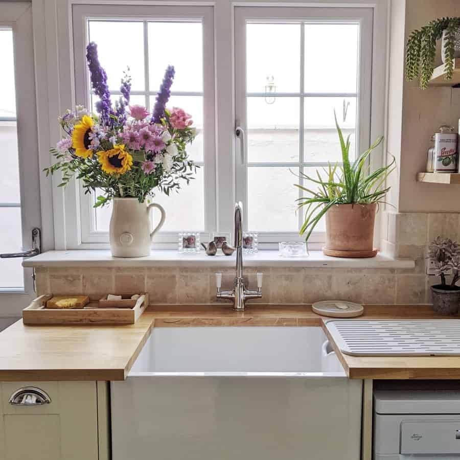 Single Kitchen Sink Ideas Kelly Prouton