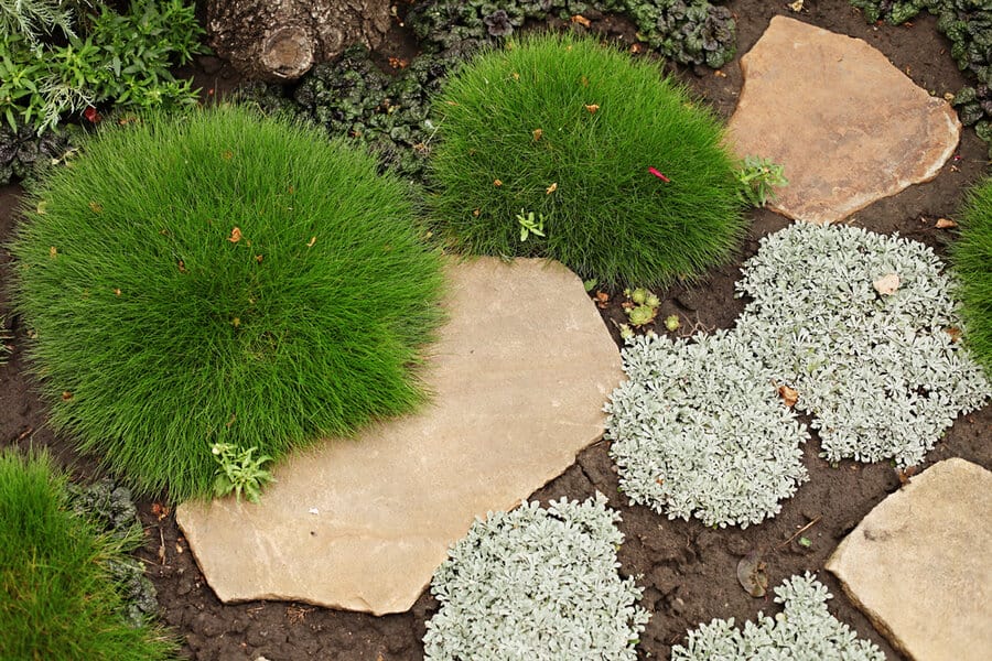 Stepping Stone Garden Path Ideas