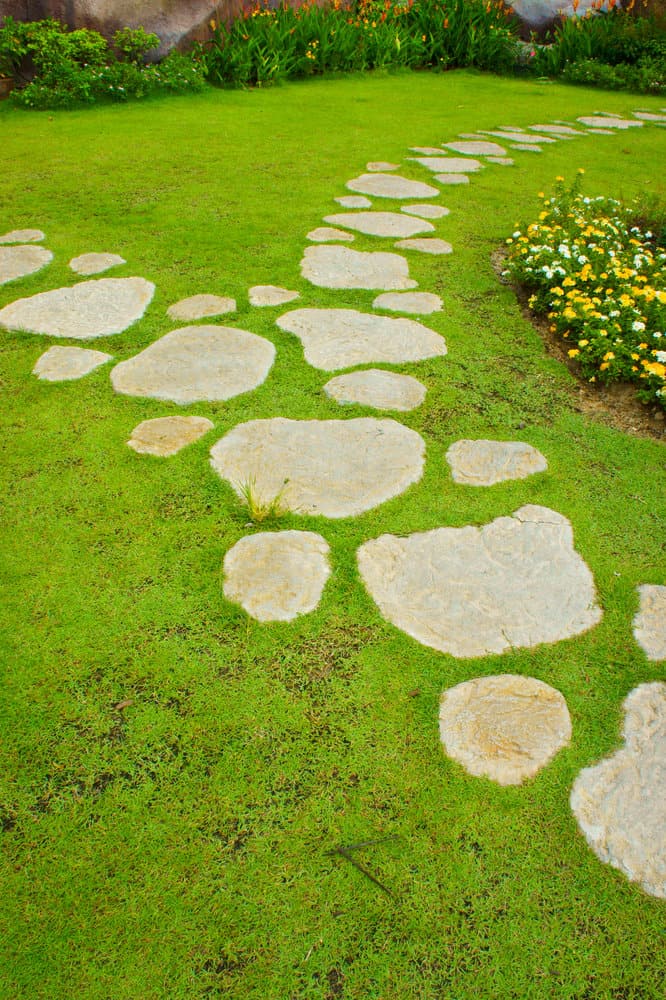 Stepping Stone Garden Path Ideas