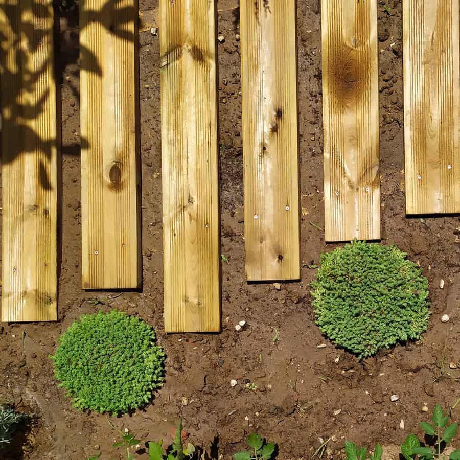 Wood Garden Path Ideas Dimit Kar