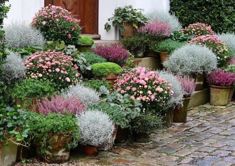 Container Garden Flower Bed Ideas Clausdalby