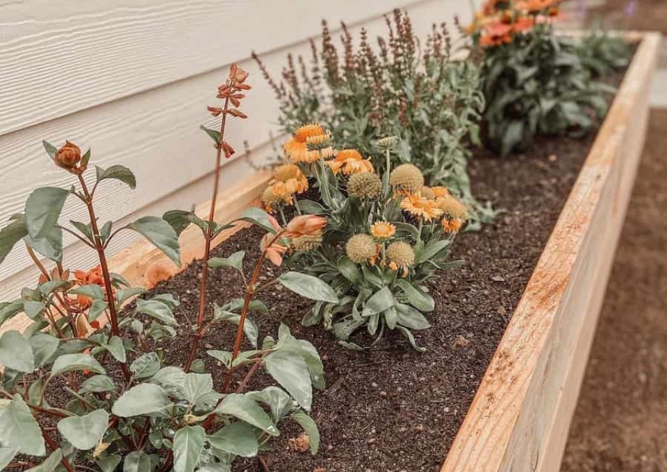 Flowerbed Along The Fence Flower Bed Ideas Sealopezz
