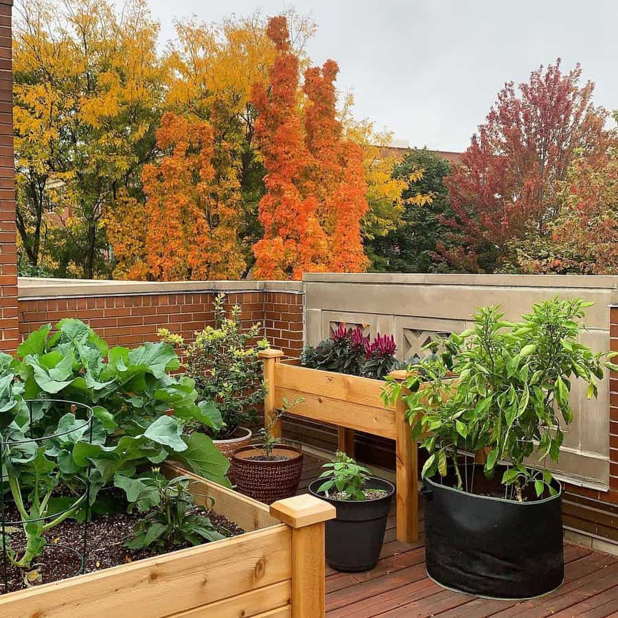 Garden Backyard Deck Ideas Chicagogardener