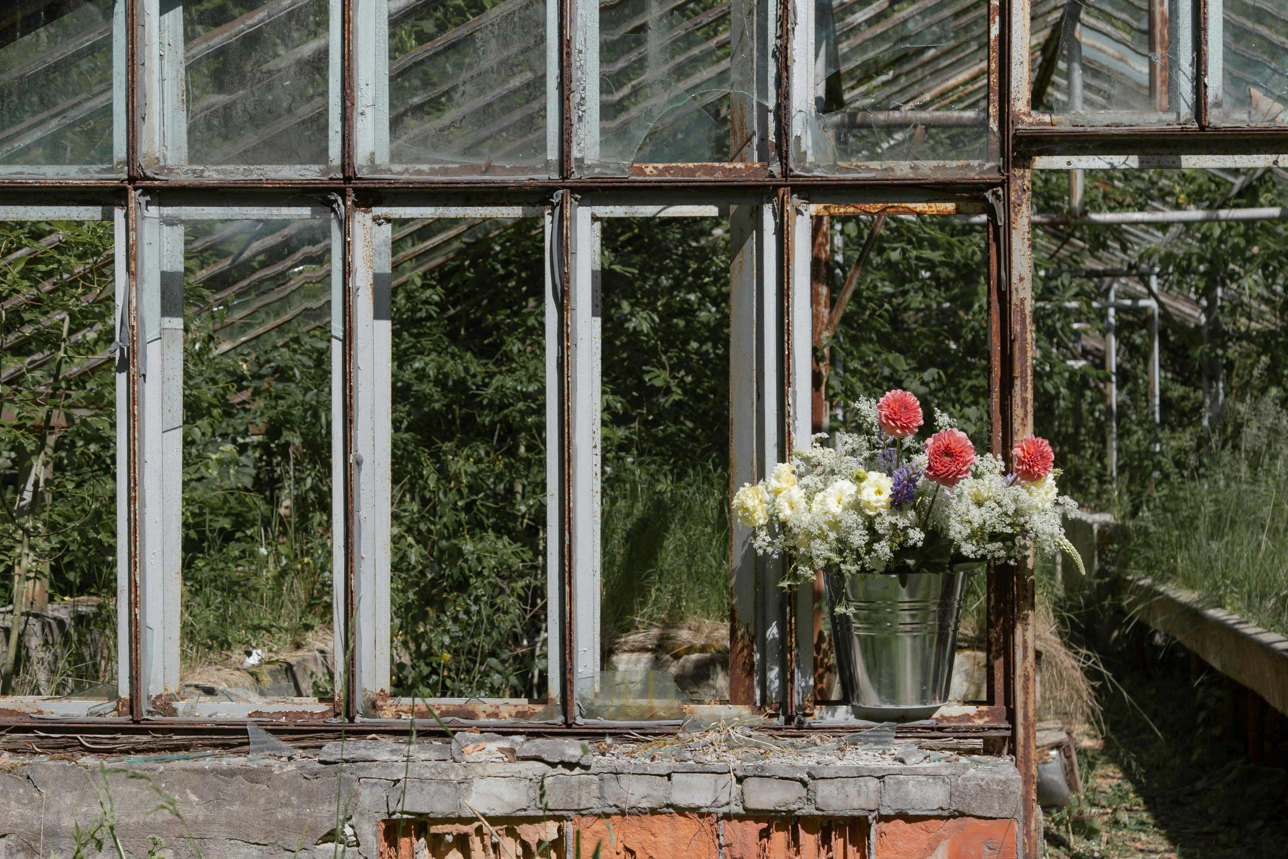 Benefits of Having a Backyard Greenhouse