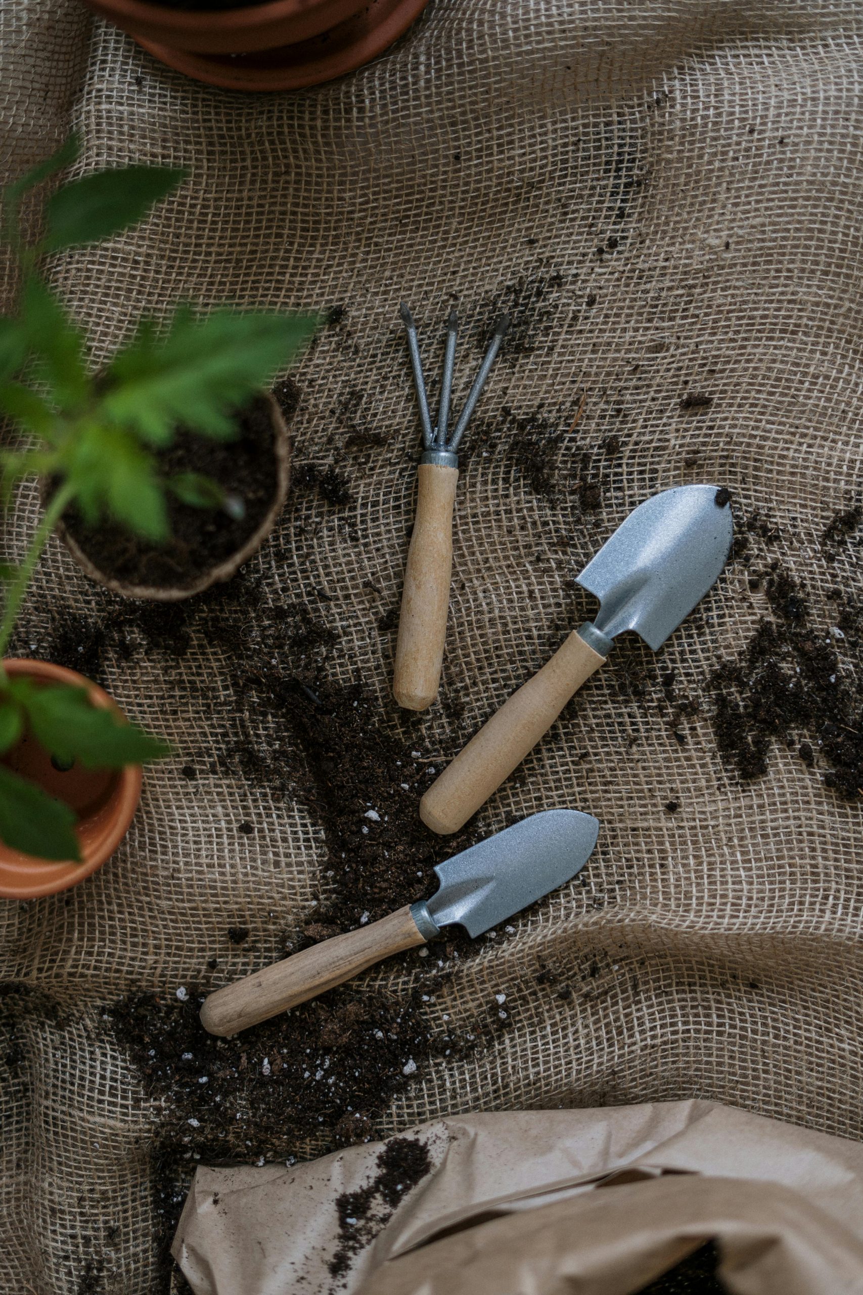 Choosing the Right Herbs for Your Indoor Garden