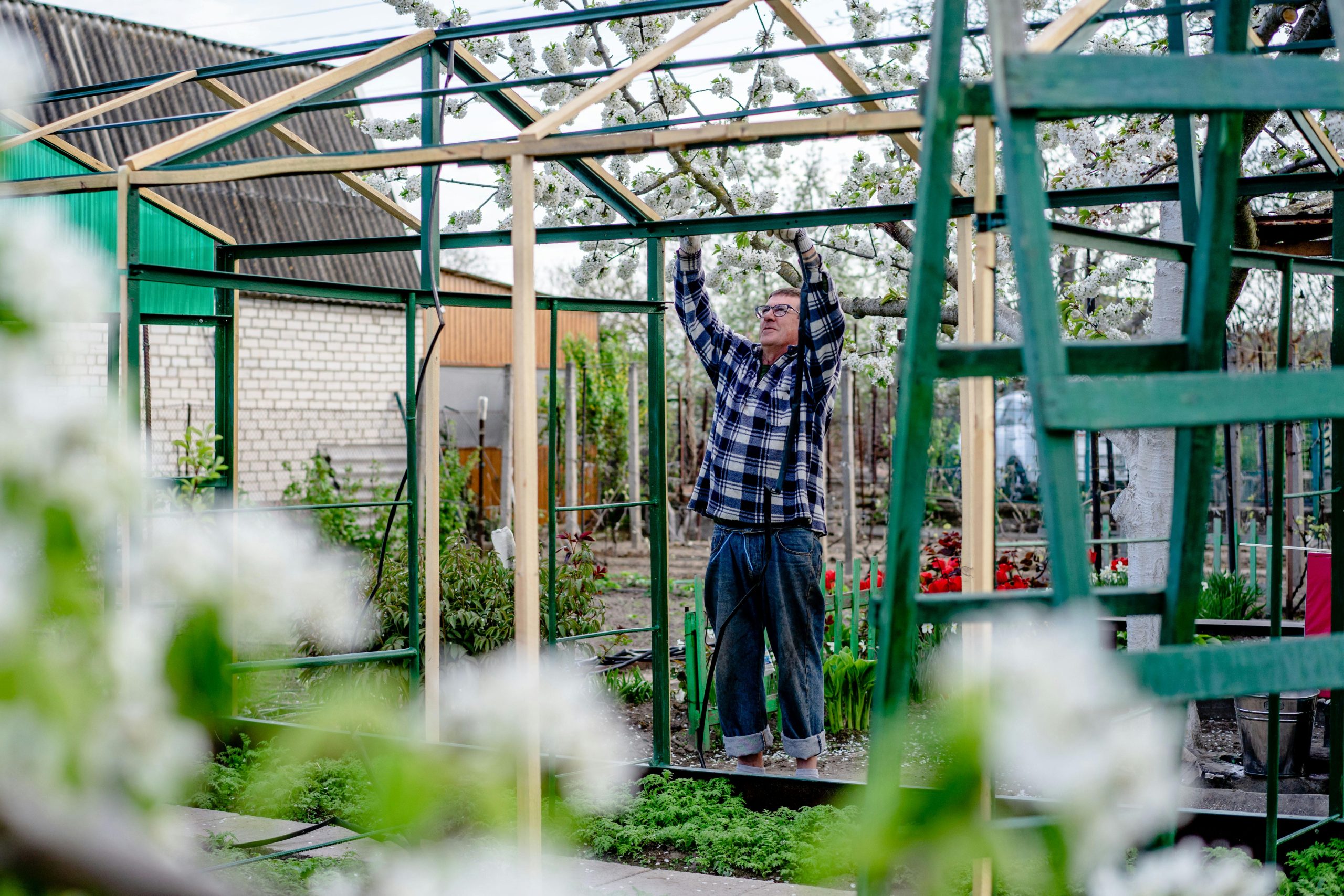 DIY Greenhouse Projects: A Guide for Beginners