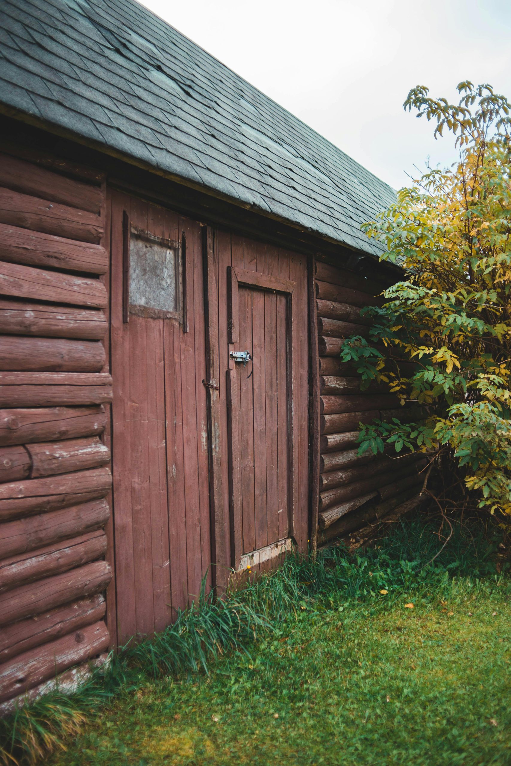 Maintenance Tips for Shed Doors