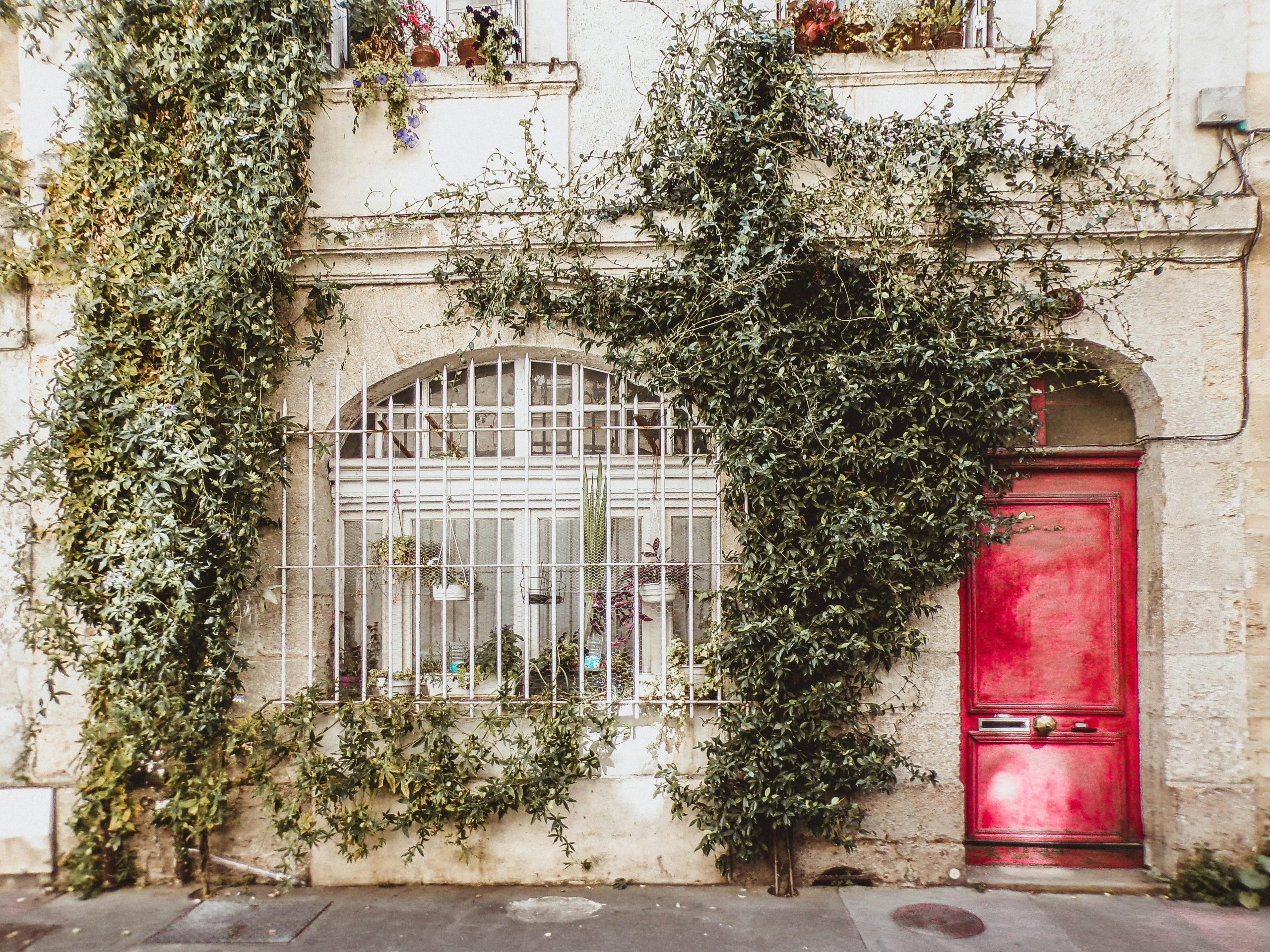 Preparing for a Front Door Makeover